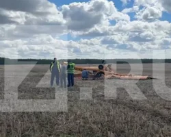 Аэропракт-22: Авиабаза Омской области поддерживает безопасность aeroprakt22 aviabaza omskoj oblasti podderzhivaet bezopasnost-t-nw-ru-0
