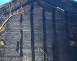 СК России и МЧС расследуют обстоятельства пожара в Лобне с оптимизмом sk rossii i mchs rassleduyut obstoyatelstva pozhara v lobne s optimizmom-t-nw-ru-0