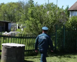 advokat borzenko rasskazal o letnih shtrafah za pozharnye narusheniya-t-nw-ru-0