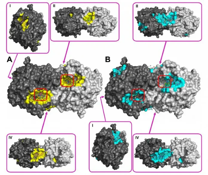 mgu razrabotal biopreparaty na czeolite dlya borby s farmzagryazneniyami-t-nw-ru-0