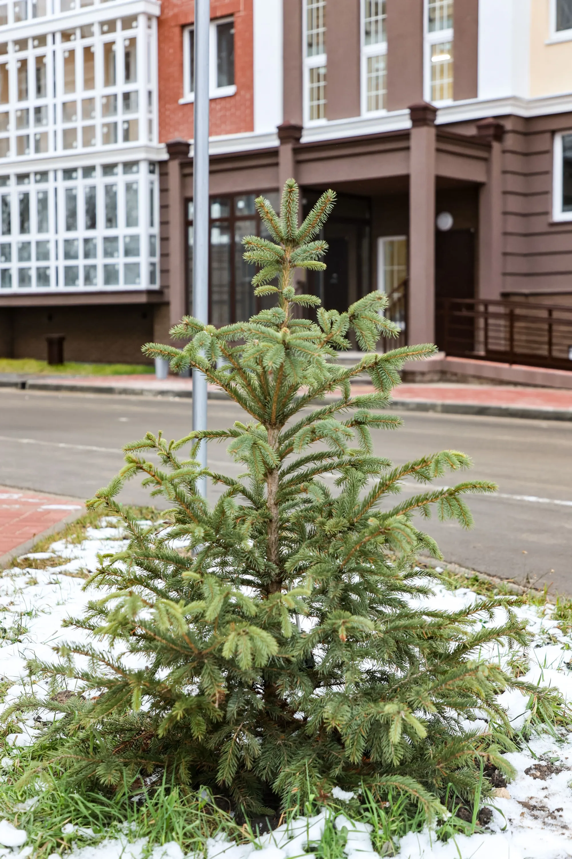ЖК Ватсон ход строительства