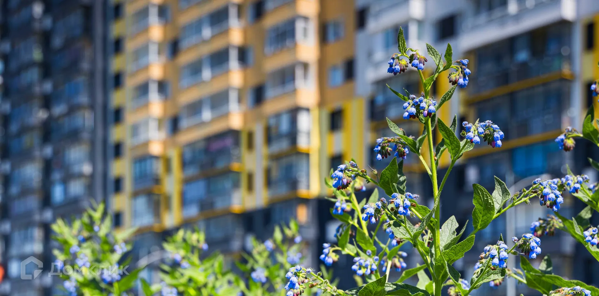 Фото квартиры в ЖК «Бригантина»