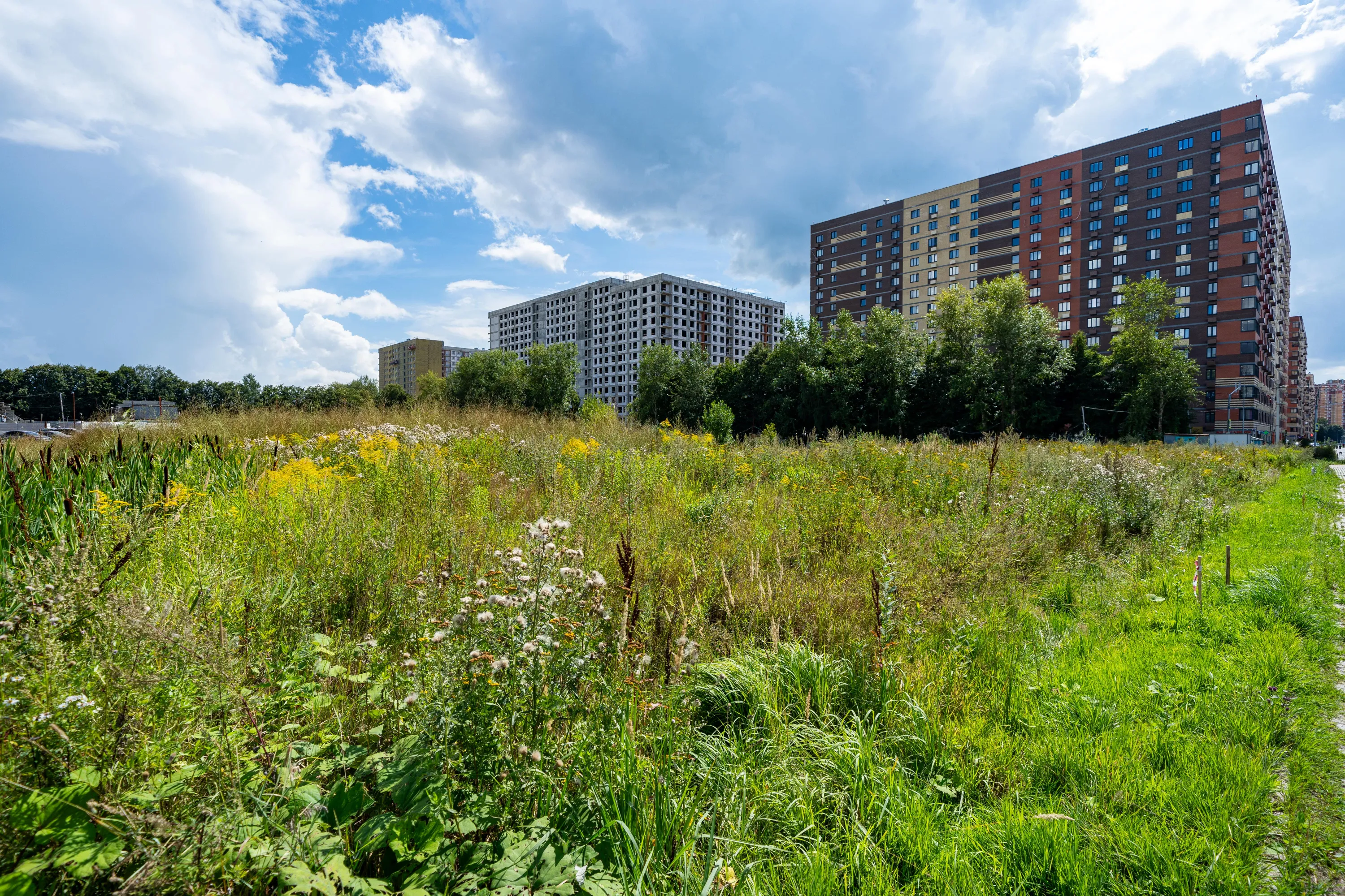 Фото ЖК Новое Пушкино