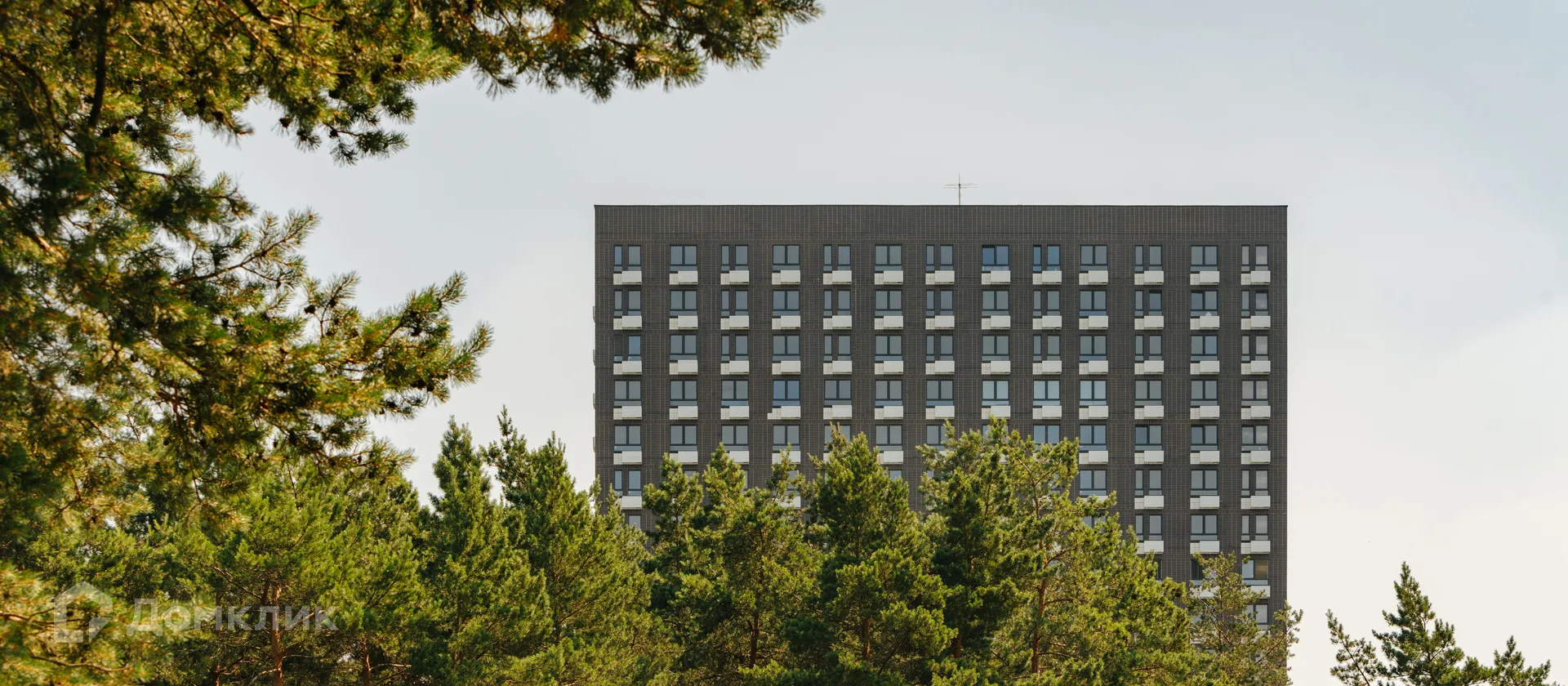 Фото квартиры в ЖК Кузьминский лес