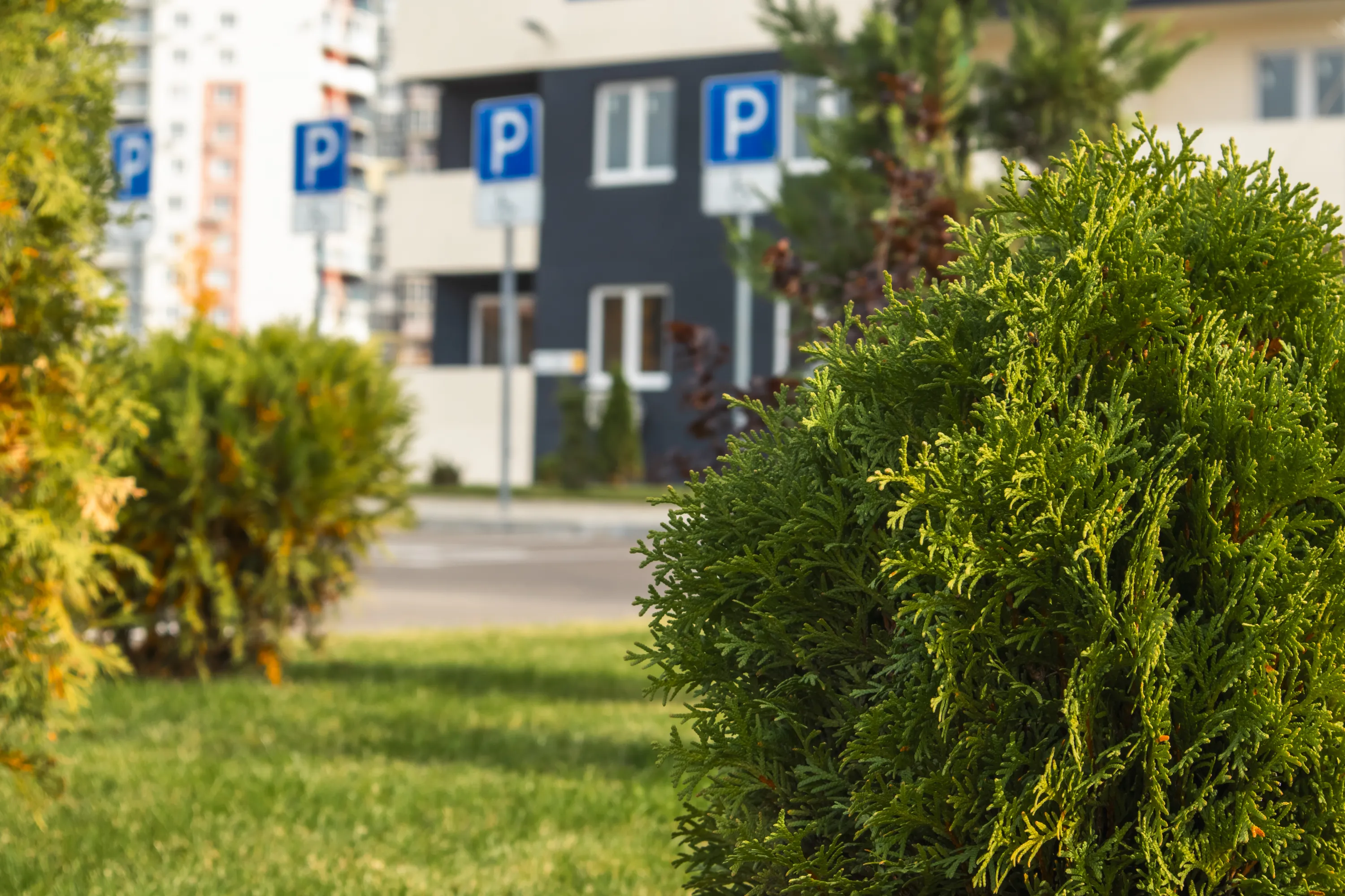 ЖК ЮЖАНЕ ход строительства