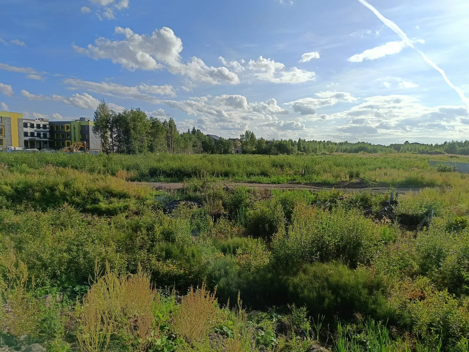 Фото ЖК Сосновка-2