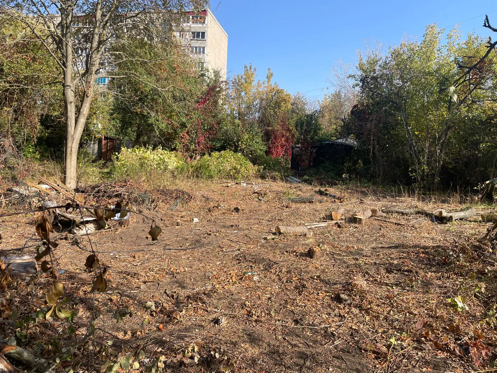 Фото ЖК Соколиный парк