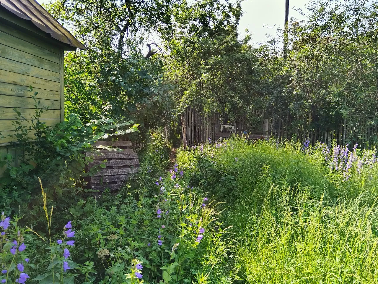 Фото ЖК Соколиный парк
