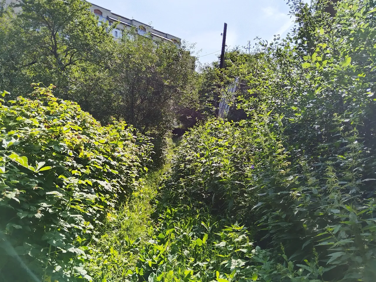 Фото ЖК Соколиный парк