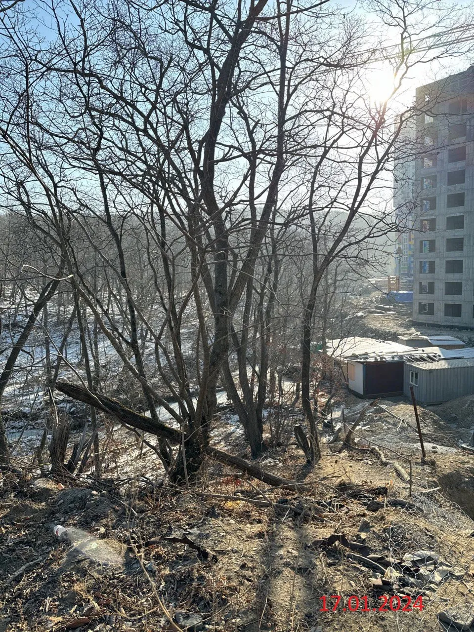Фото ЖК Greenwood (Гринвуд)