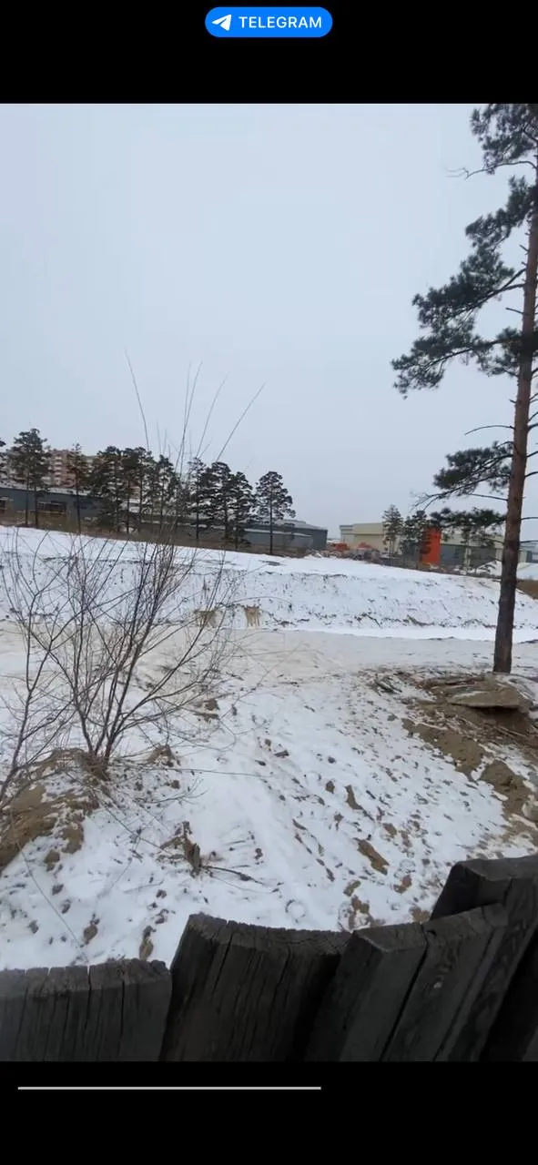 Фото ЖК Квартал 102