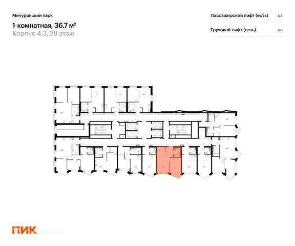 Планировка 1 комн. в ЖК Мичуринский парк