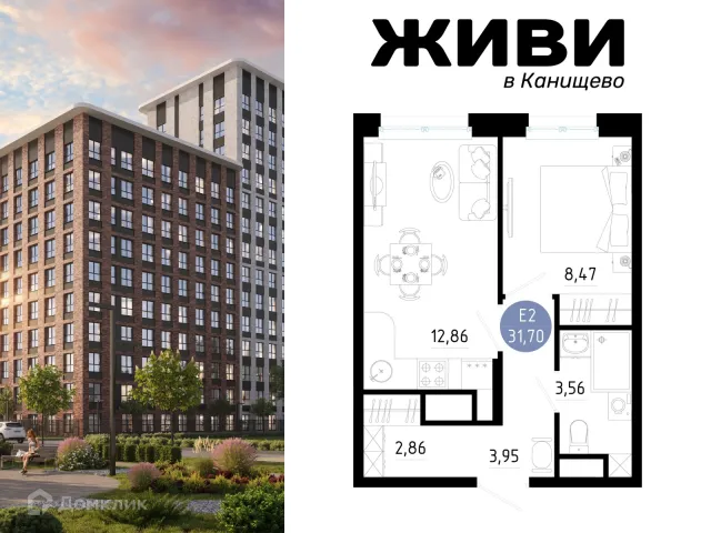 Планировка 1 комн. в Живи