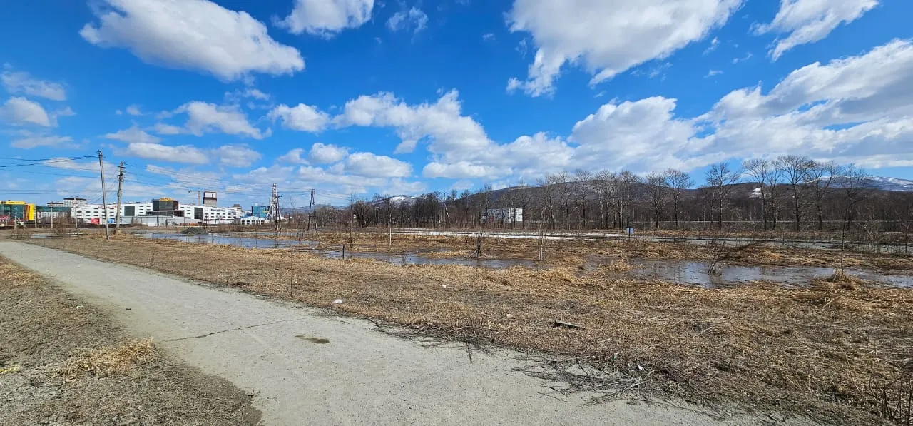 ЖК Зелёная планета на Мира ход строительства