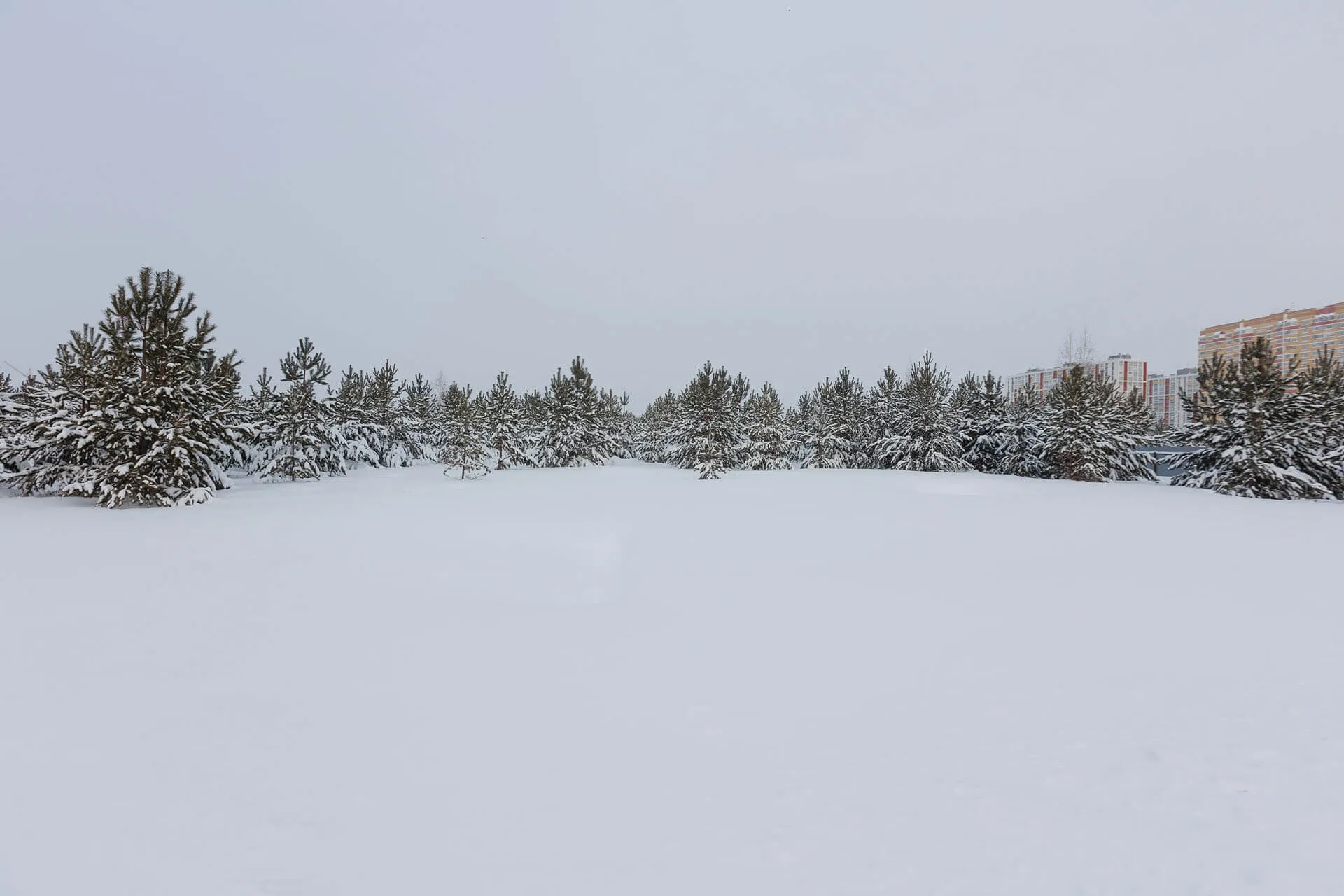 Фото ЖК Август