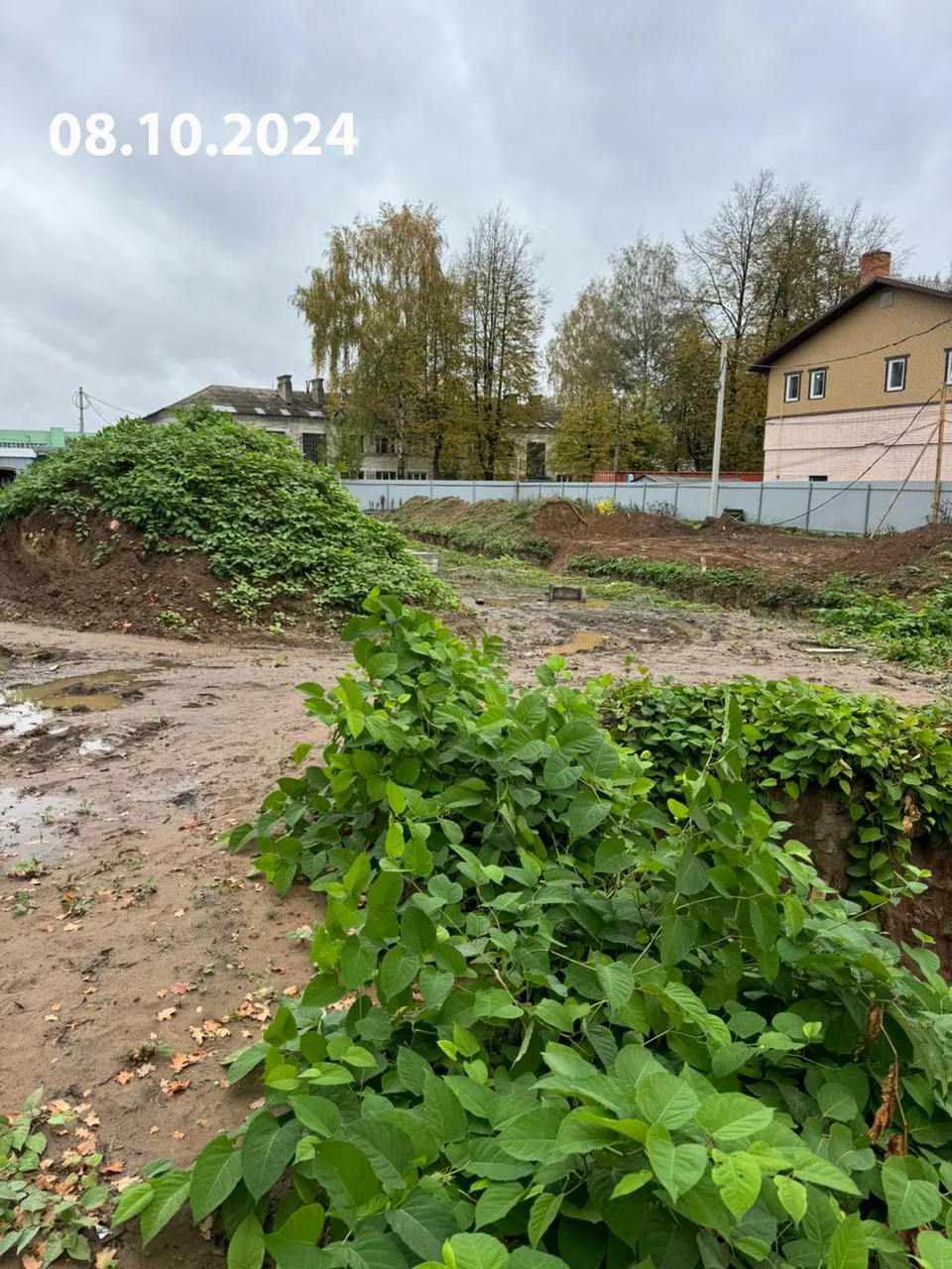 ЖК Уютный квартал ход строительства