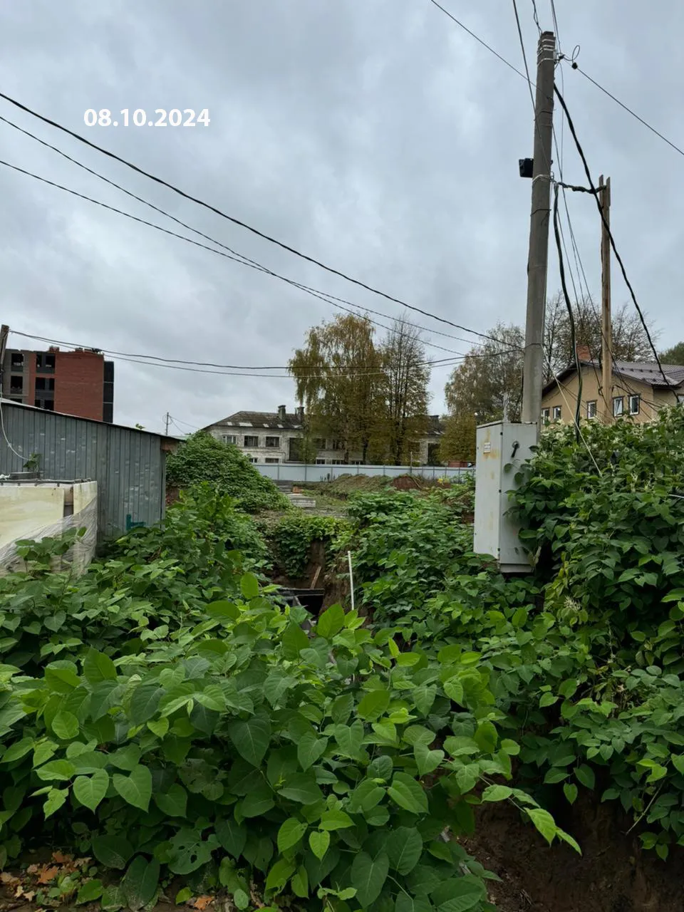 ЖК Уютный квартал ход строительства