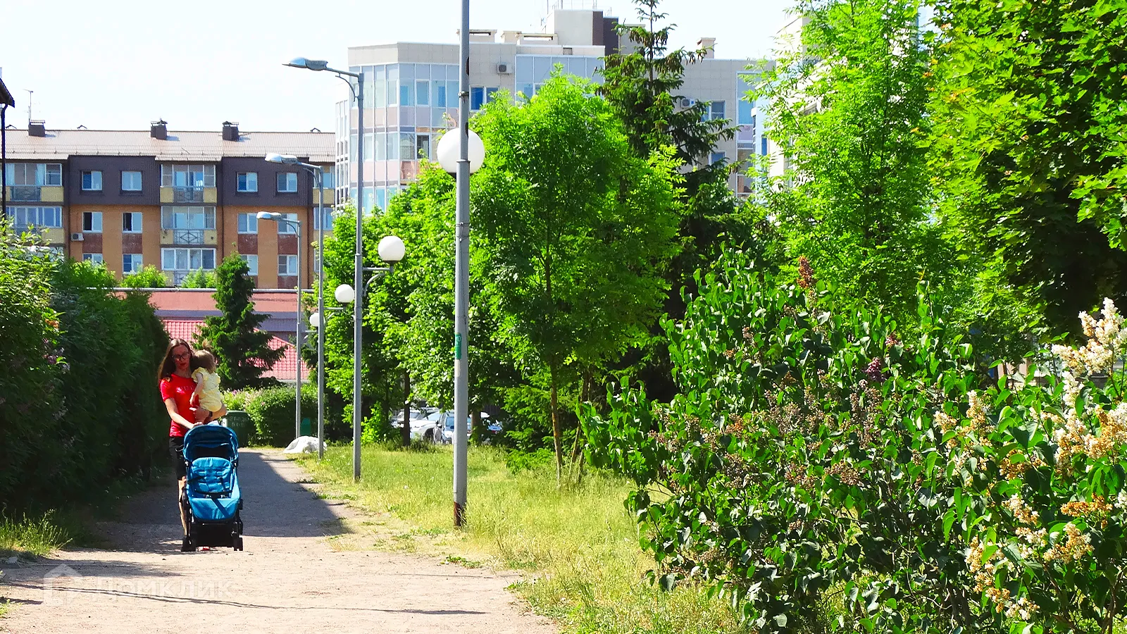 Фото квартиры в ЖК БФА в Озерках