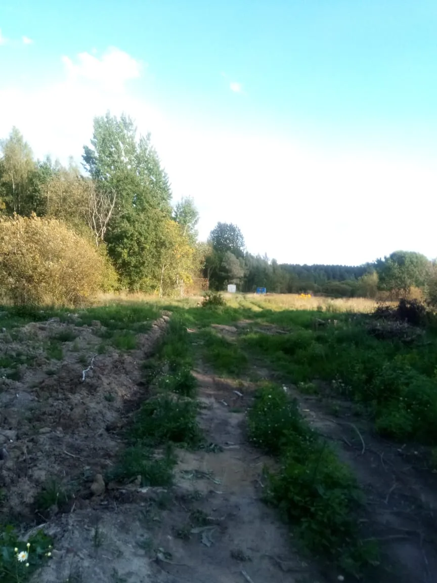 Фото ЖК Лисино