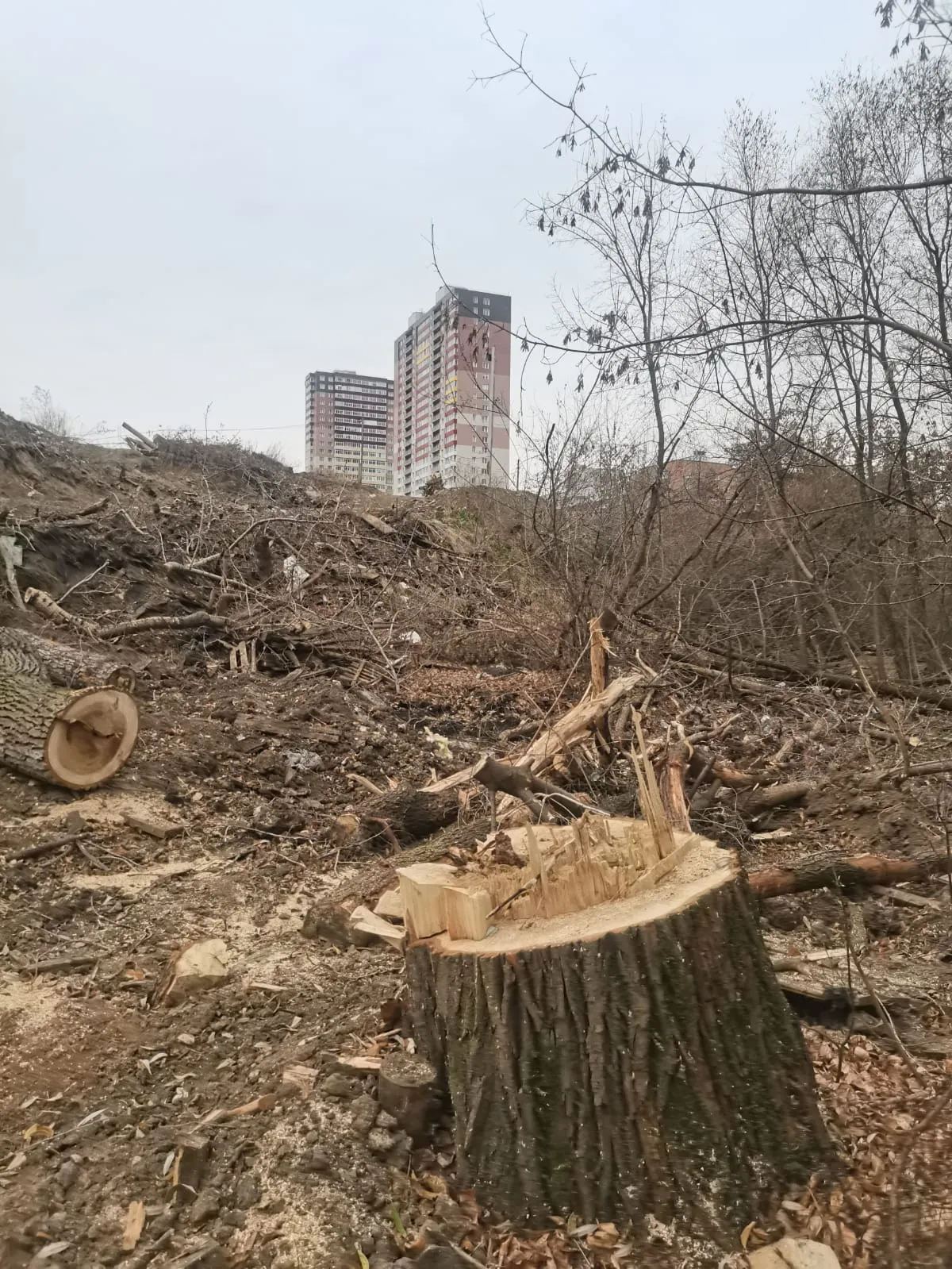 ЖК Расцветай на Кропоткина ход строительства