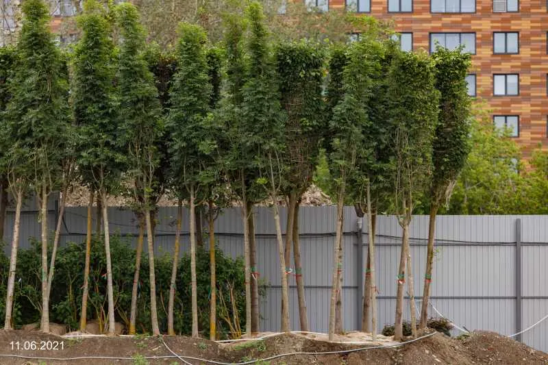 ЖК Парк Столиц ход строительства