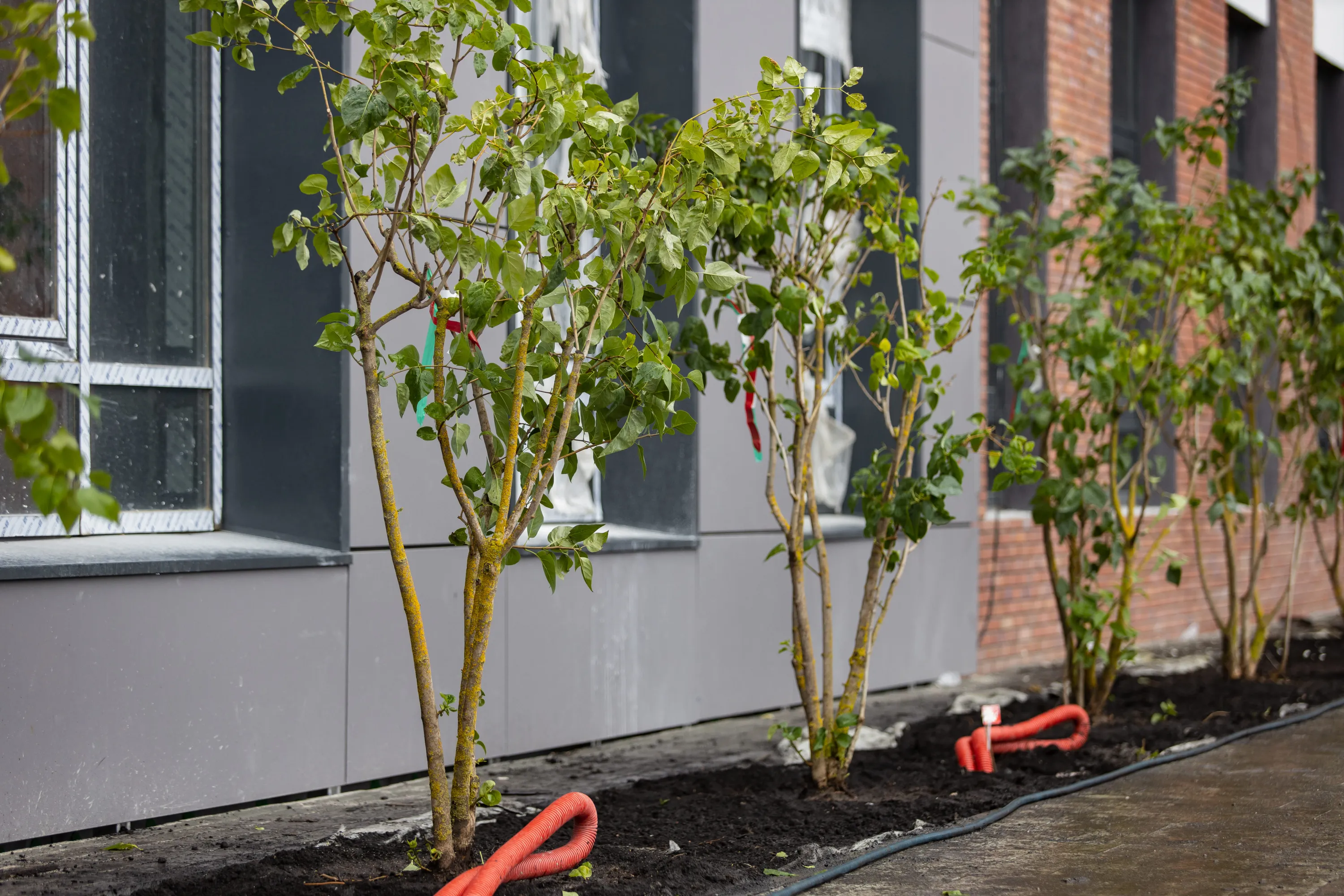 ЖК Парк Столиц ход строительства