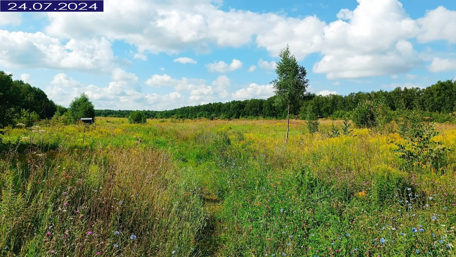 Фото ЖК 1-й Химкинский