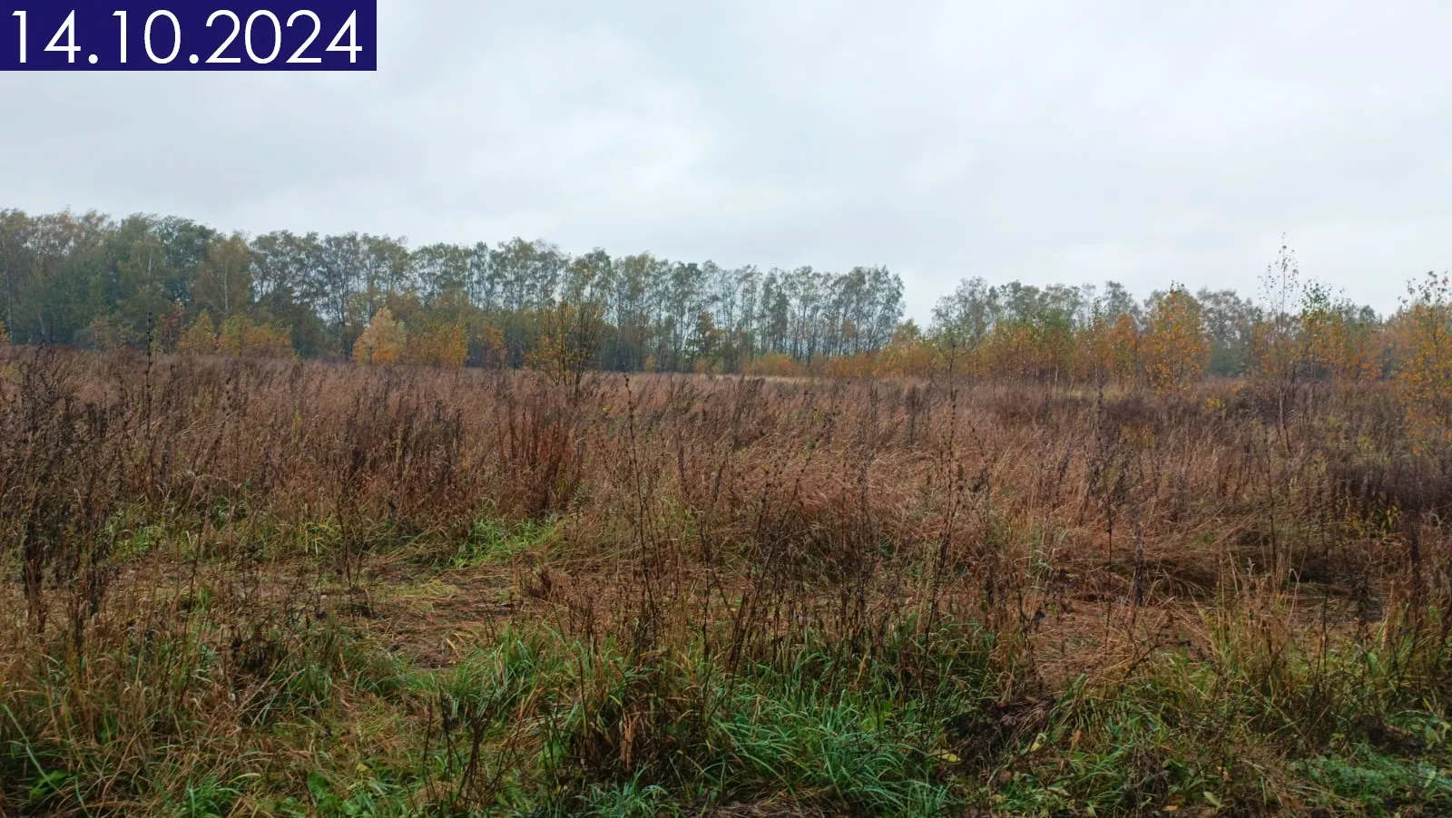 Фото ЖК 1-й Химкинский