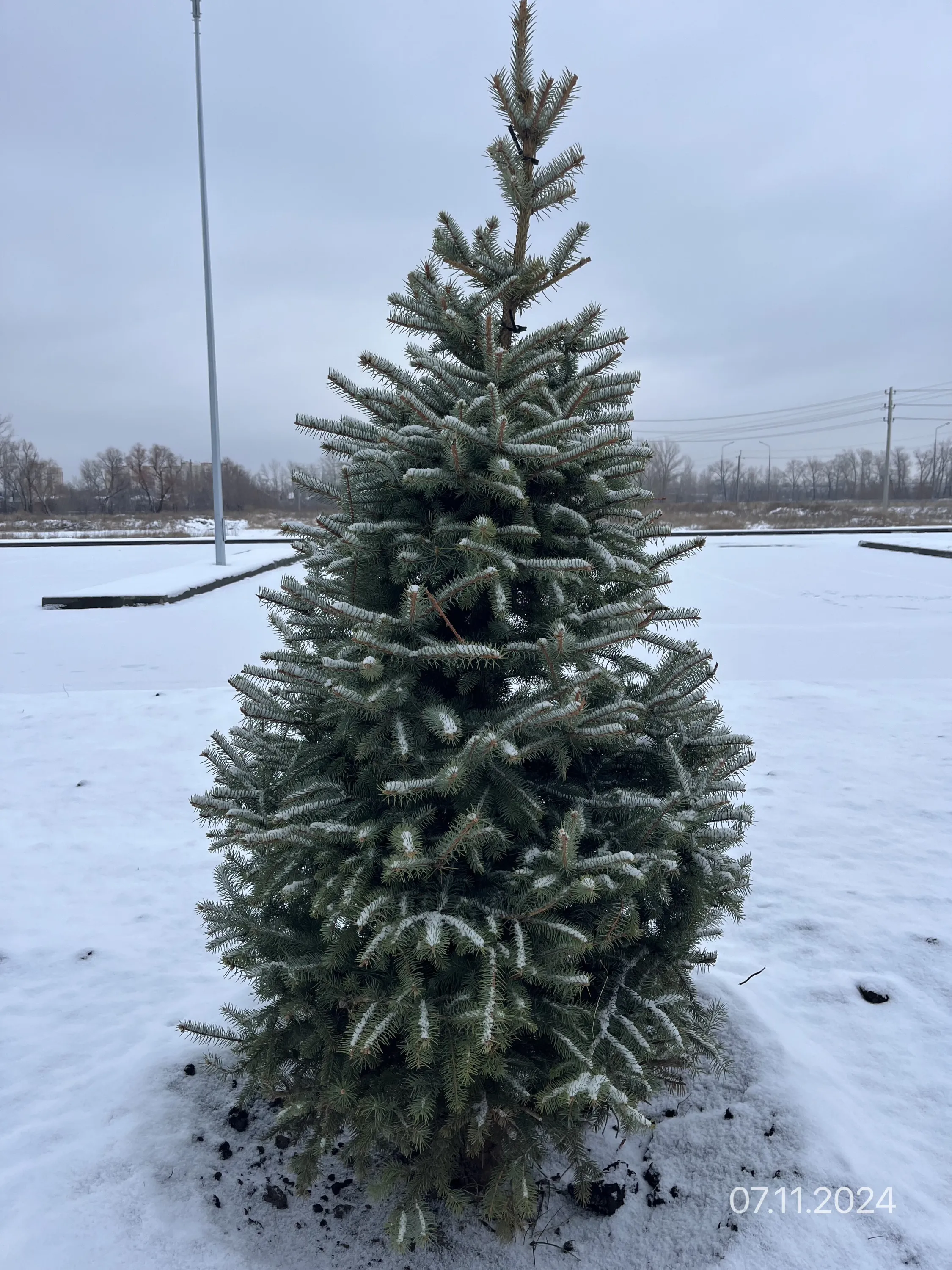 ЖК Артхолл ход строительства