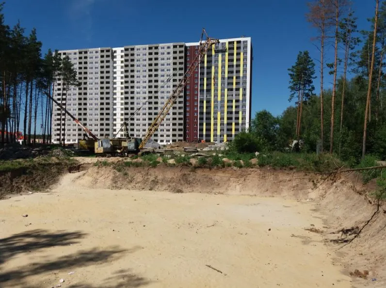 Фото ЖК "Боровое"
