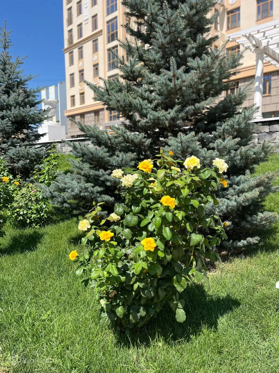 Планировка 2-комнатной квартиры 82.95 м² в ЖК АРБАТ, г. Волгоград — фото 11