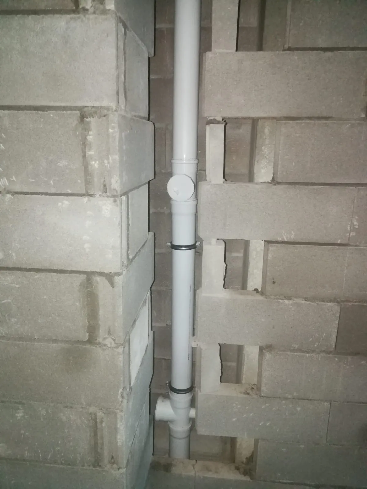 ЖК Talento (Таленто) ход строительства