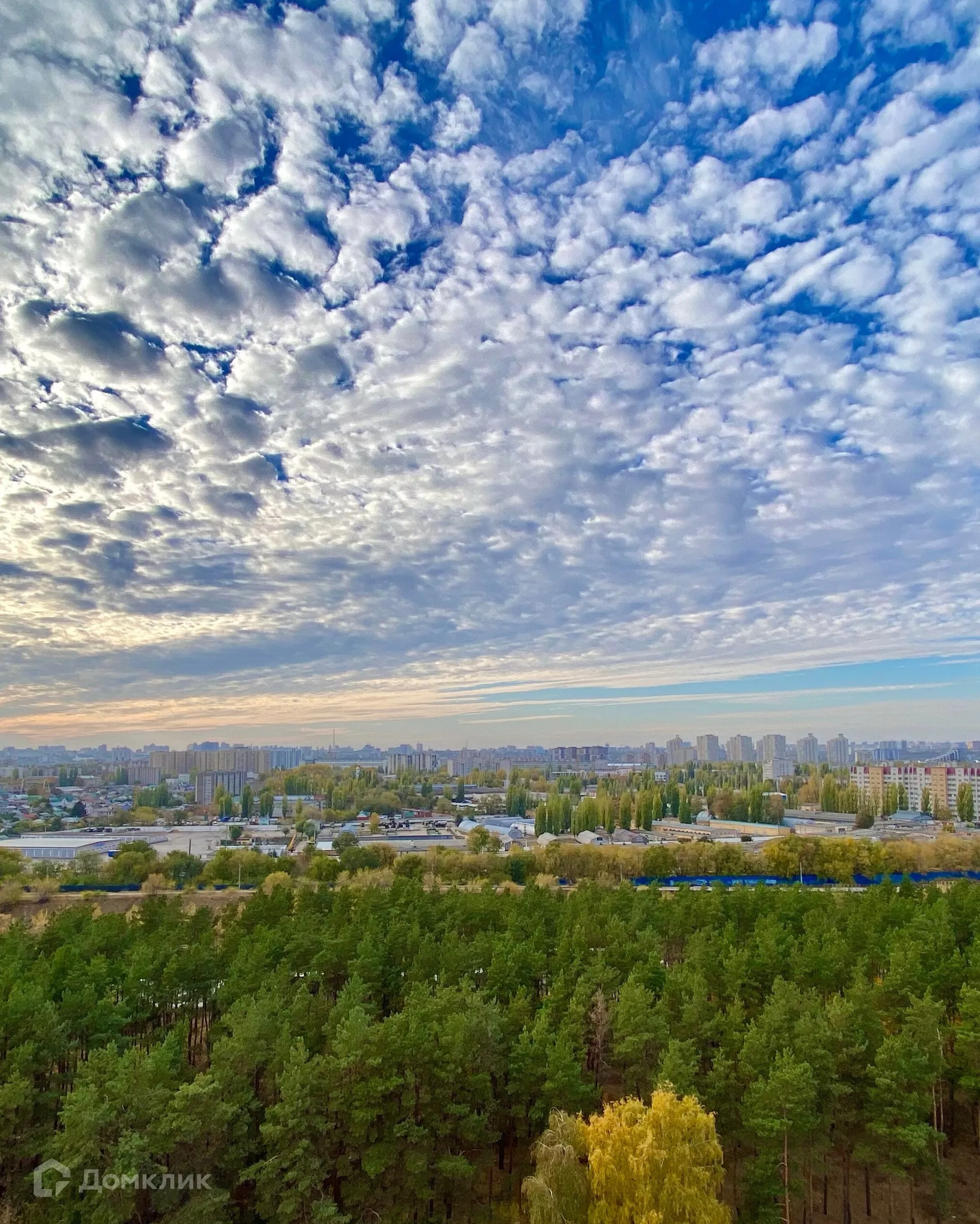 Планировка 2-комнатной квартиры 59.8 м² в ЖК Джаз, г. Воронеж — фото 16