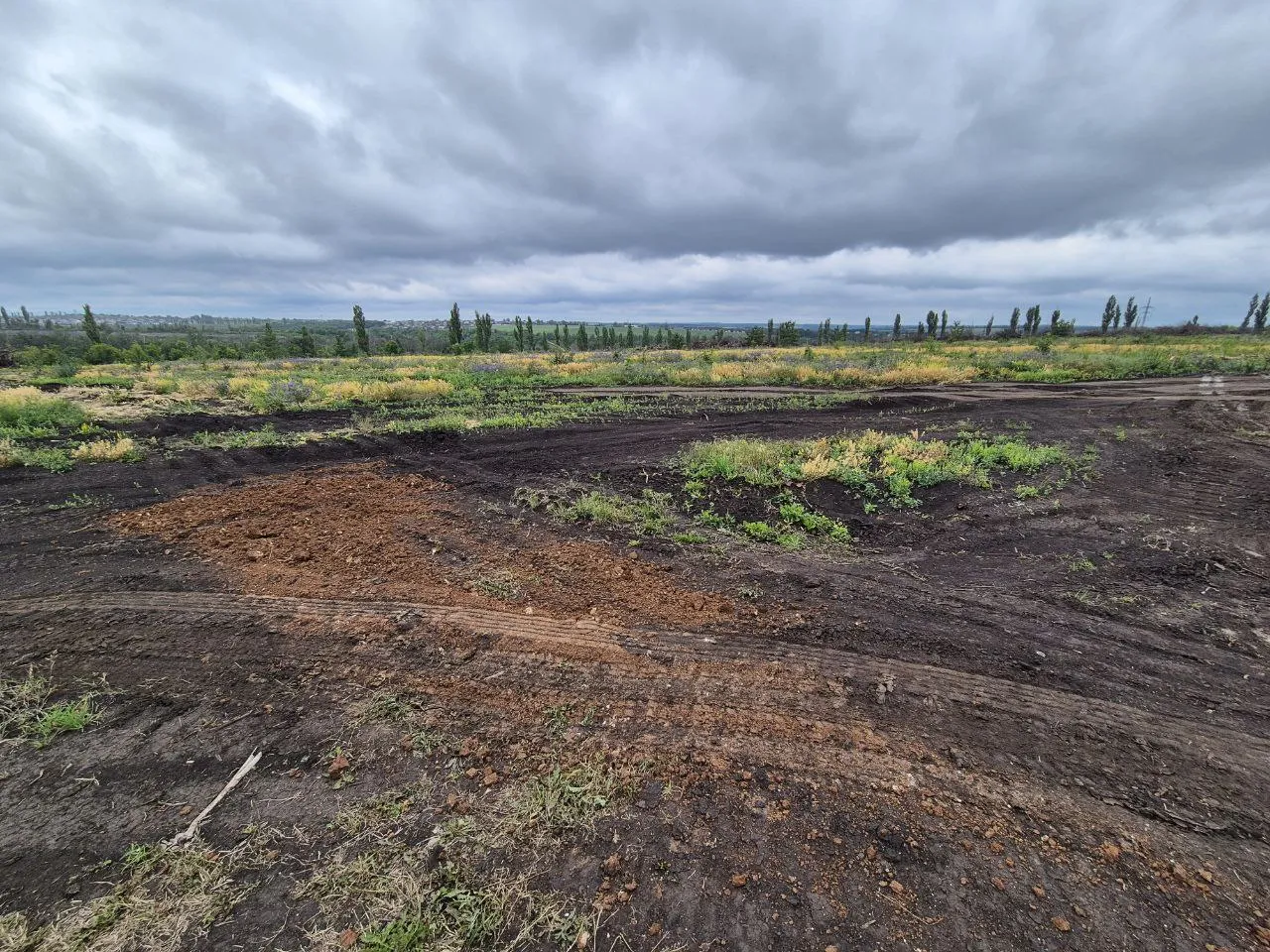 Дубрава (40 га) ход строительства