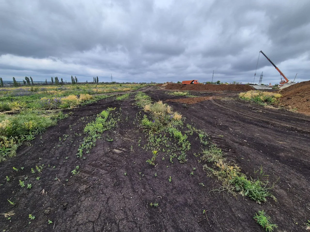 Дубрава (40 га) ход строительства