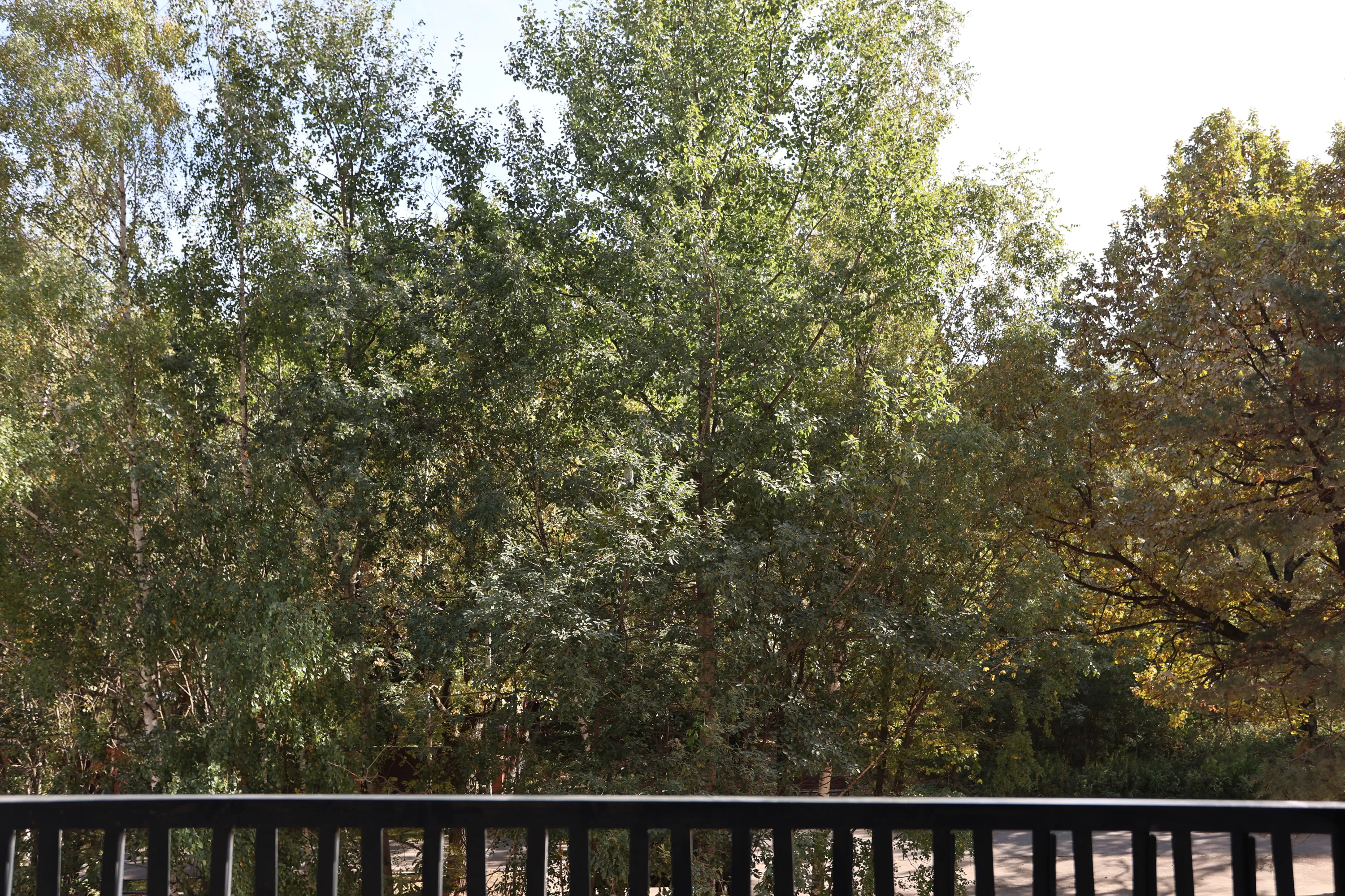 ЖК Smart Garden (Смарт Гарден) ход строительства