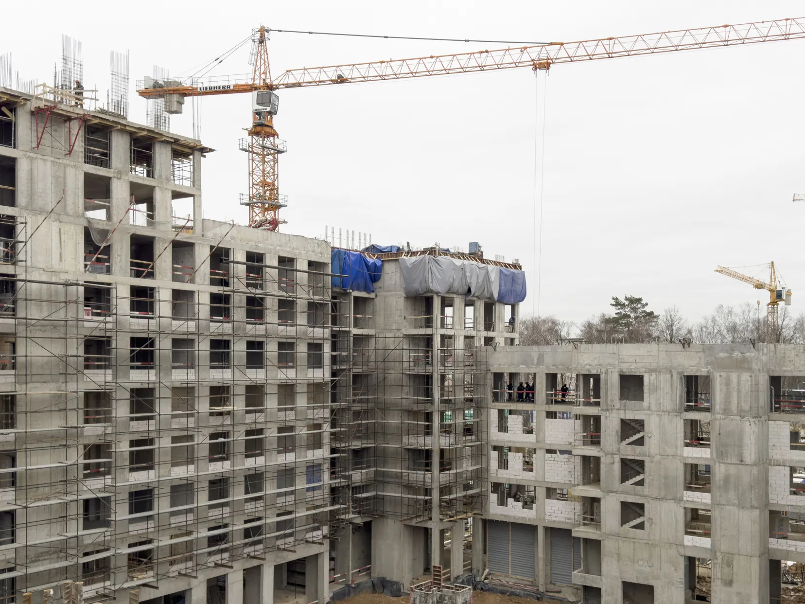 ЖК Smart Garden (Смарт Гарден) ход строительства