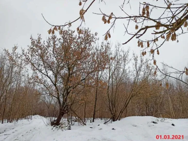 ЖК "Остров" ход строительства