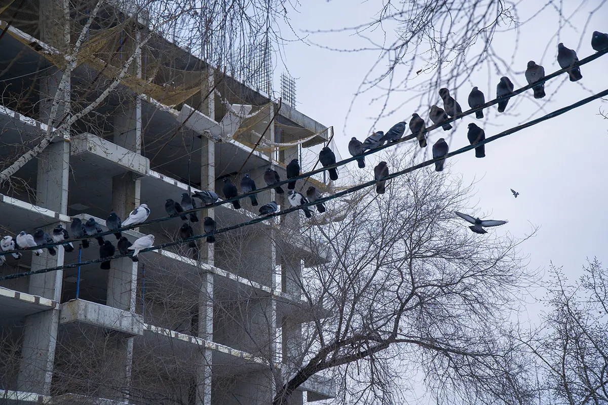 ЖК Династия ход строительства