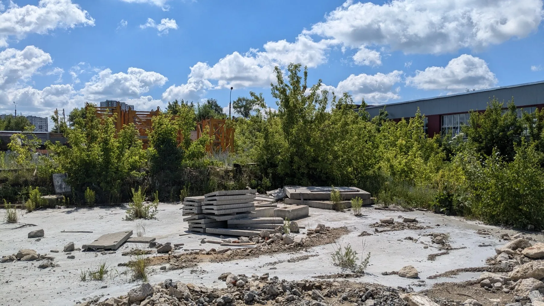 Живи ход строительства