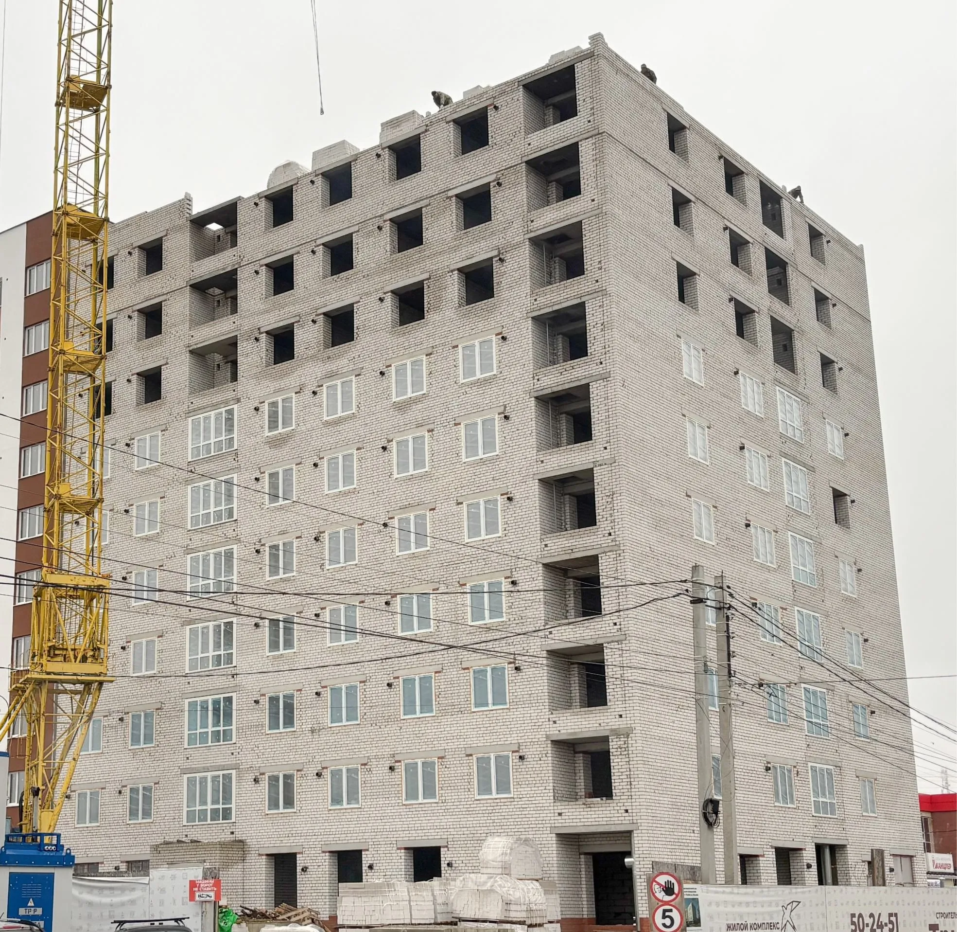 Стрижи ход строительства