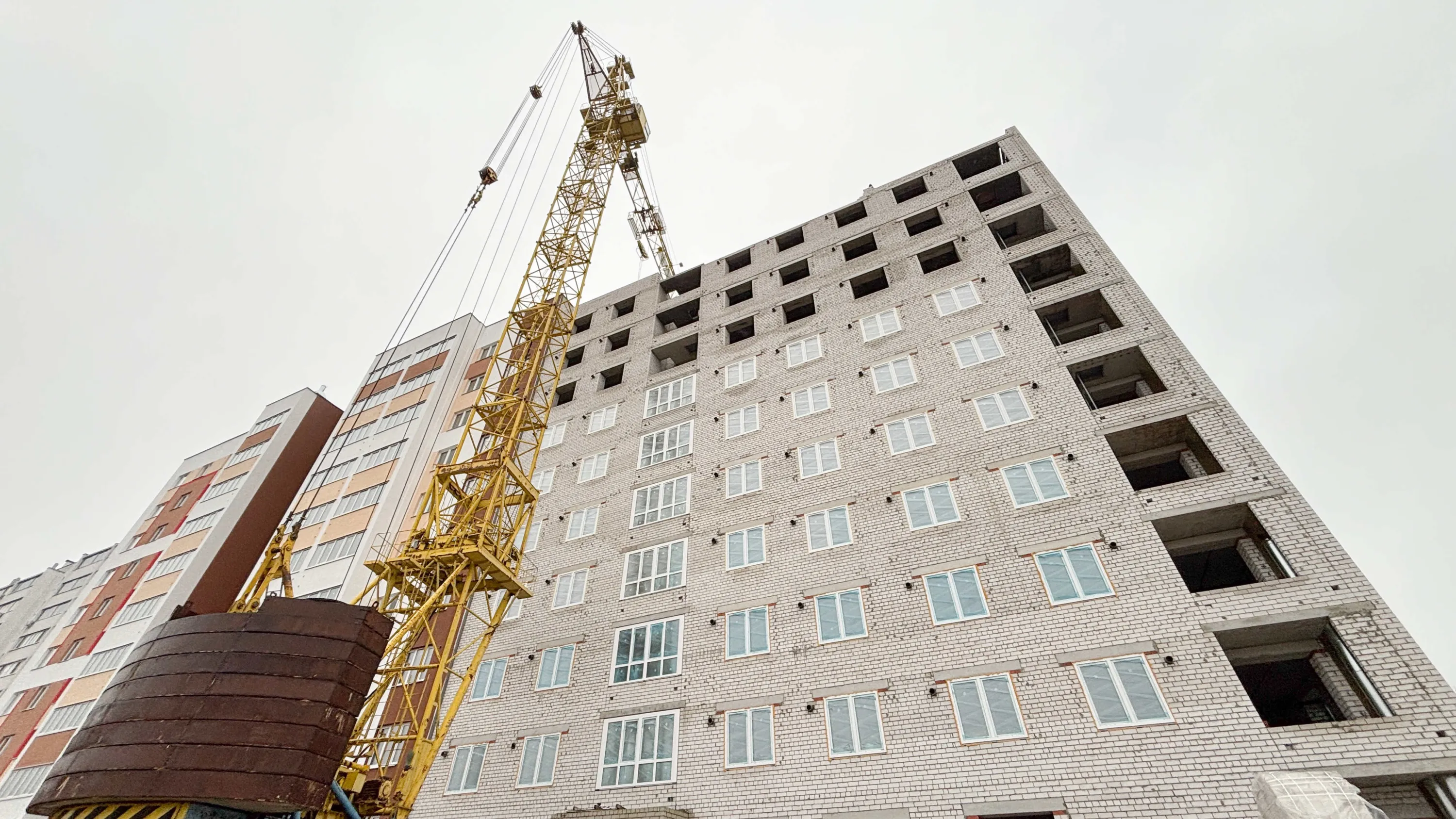 Стрижи ход строительства