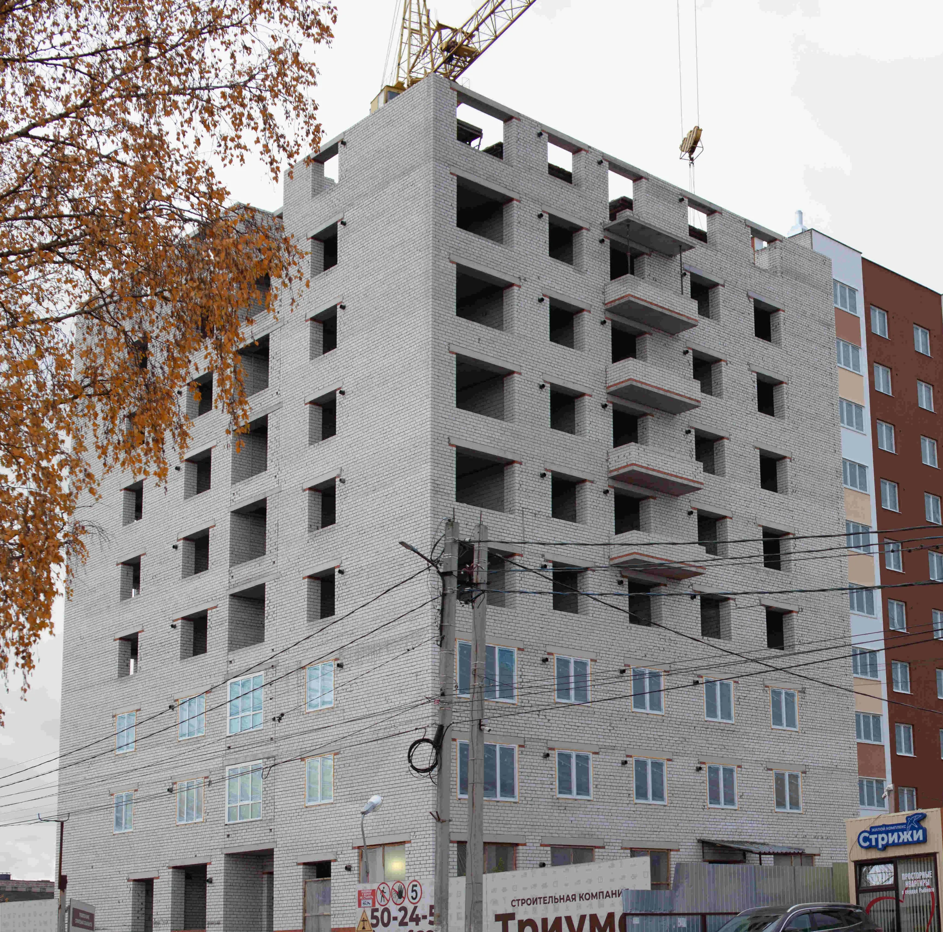 Стрижи ход строительства