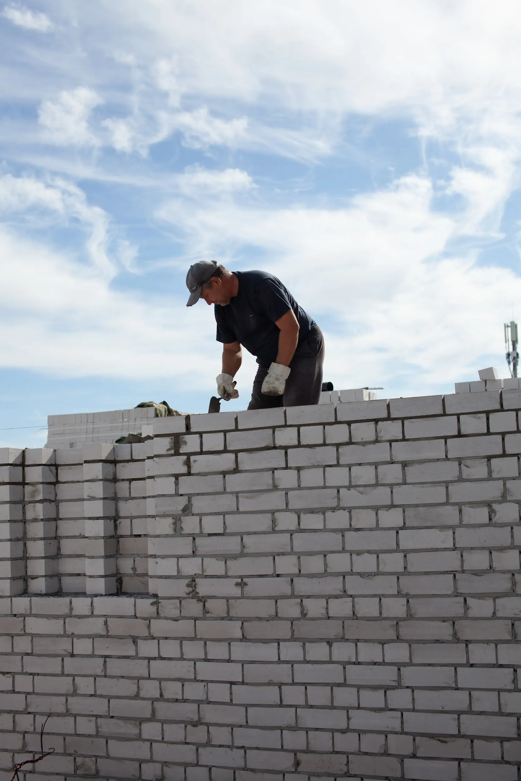 Стрижи ход строительства