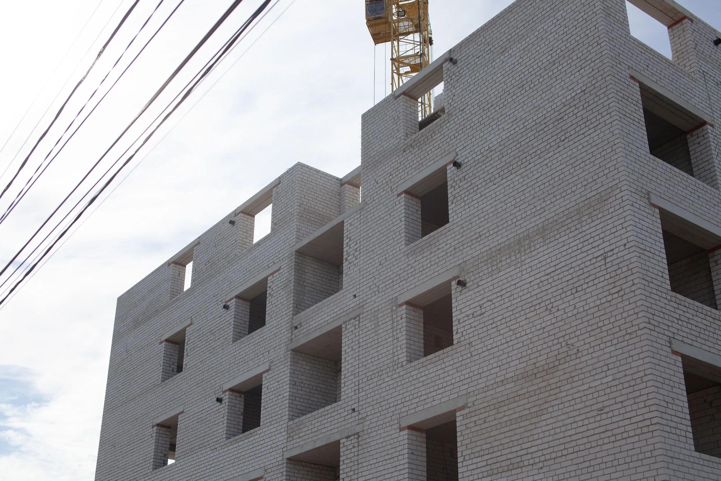 Стрижи ход строительства