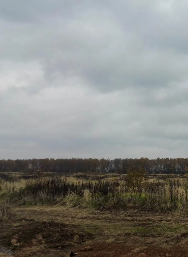 ЖК Эко Бунино ход строительства