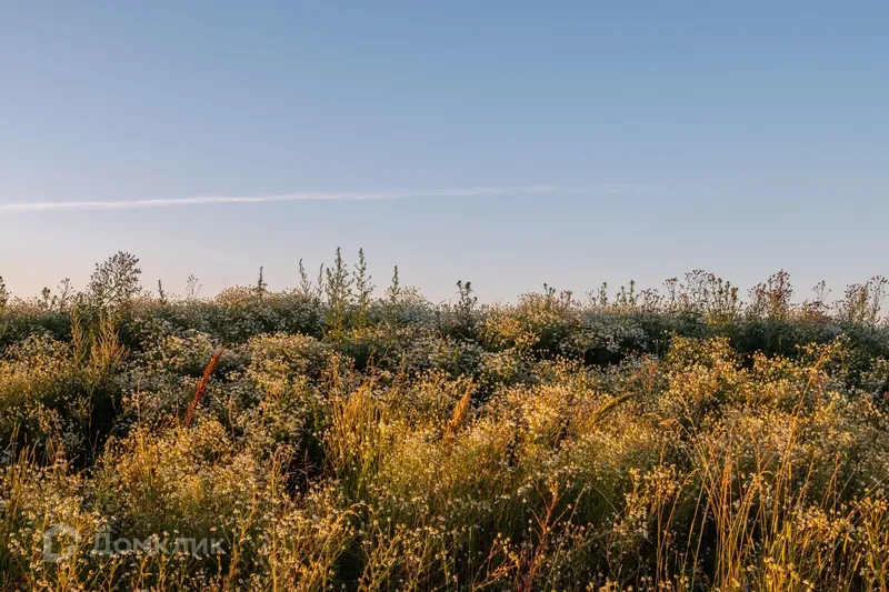 Фото квартиры в ЖК 1-й Ленинградский