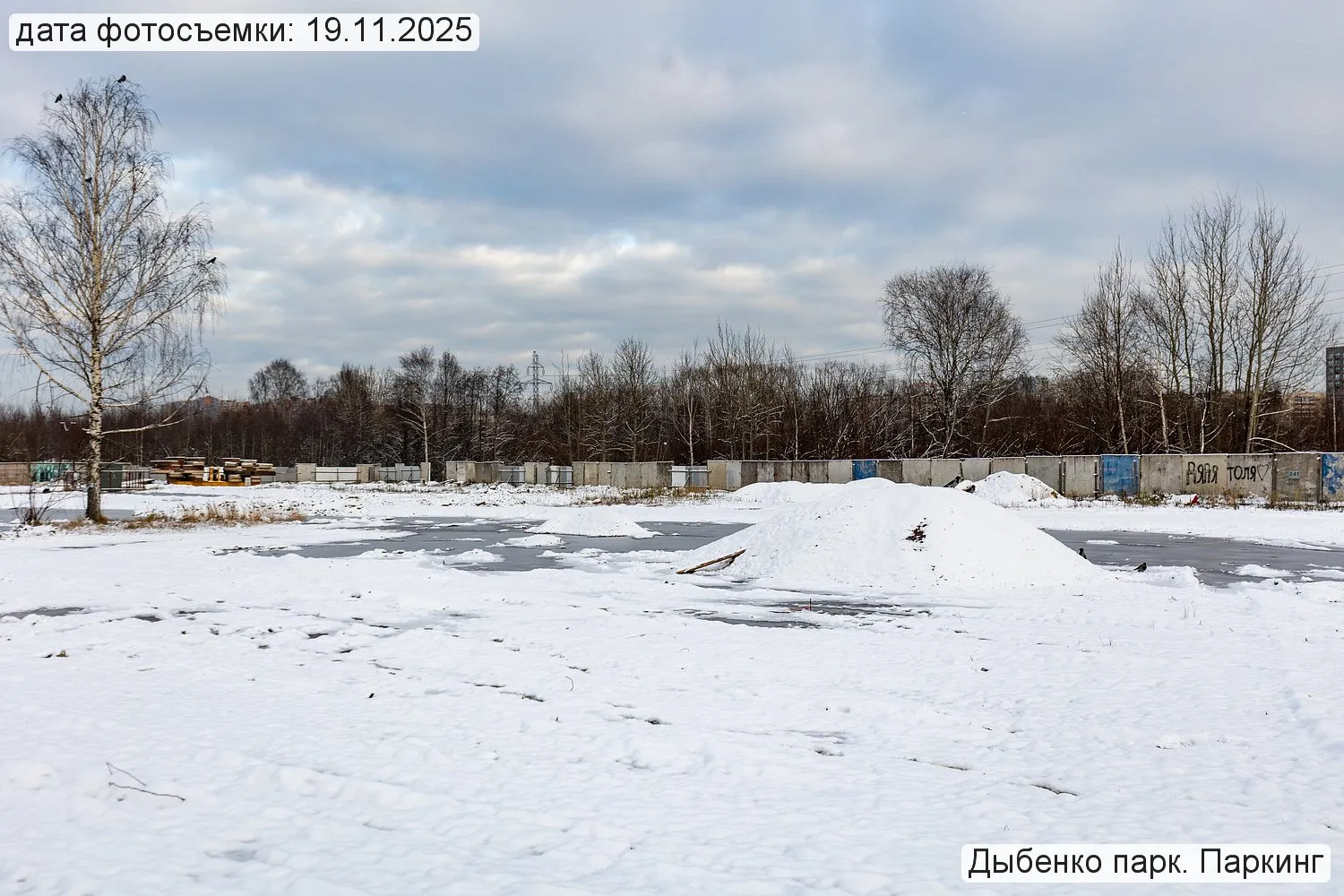 ЖК «Дыбенко Парк» ход строительства