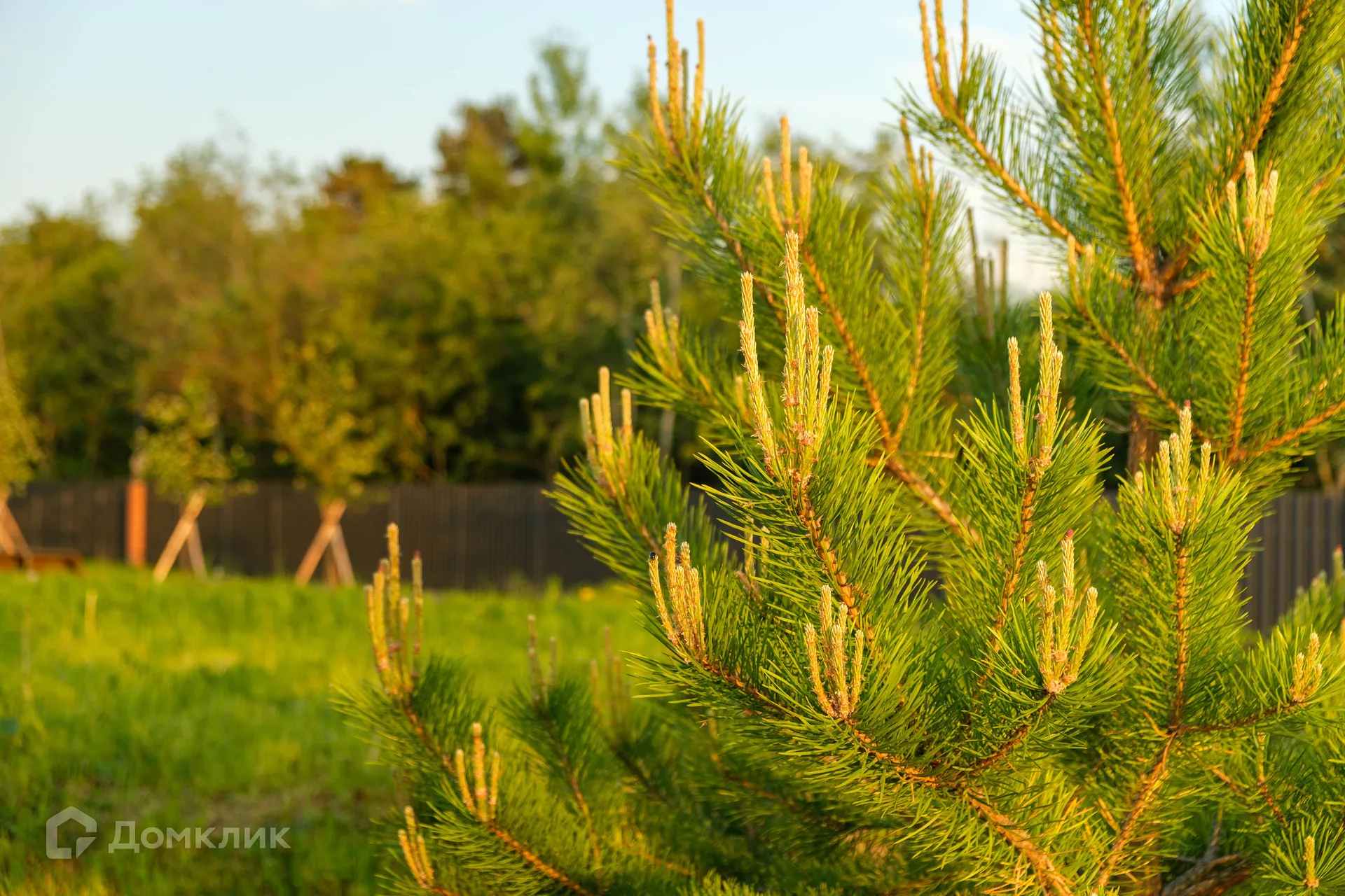 купить новостройку в Алгоритм Стрельна