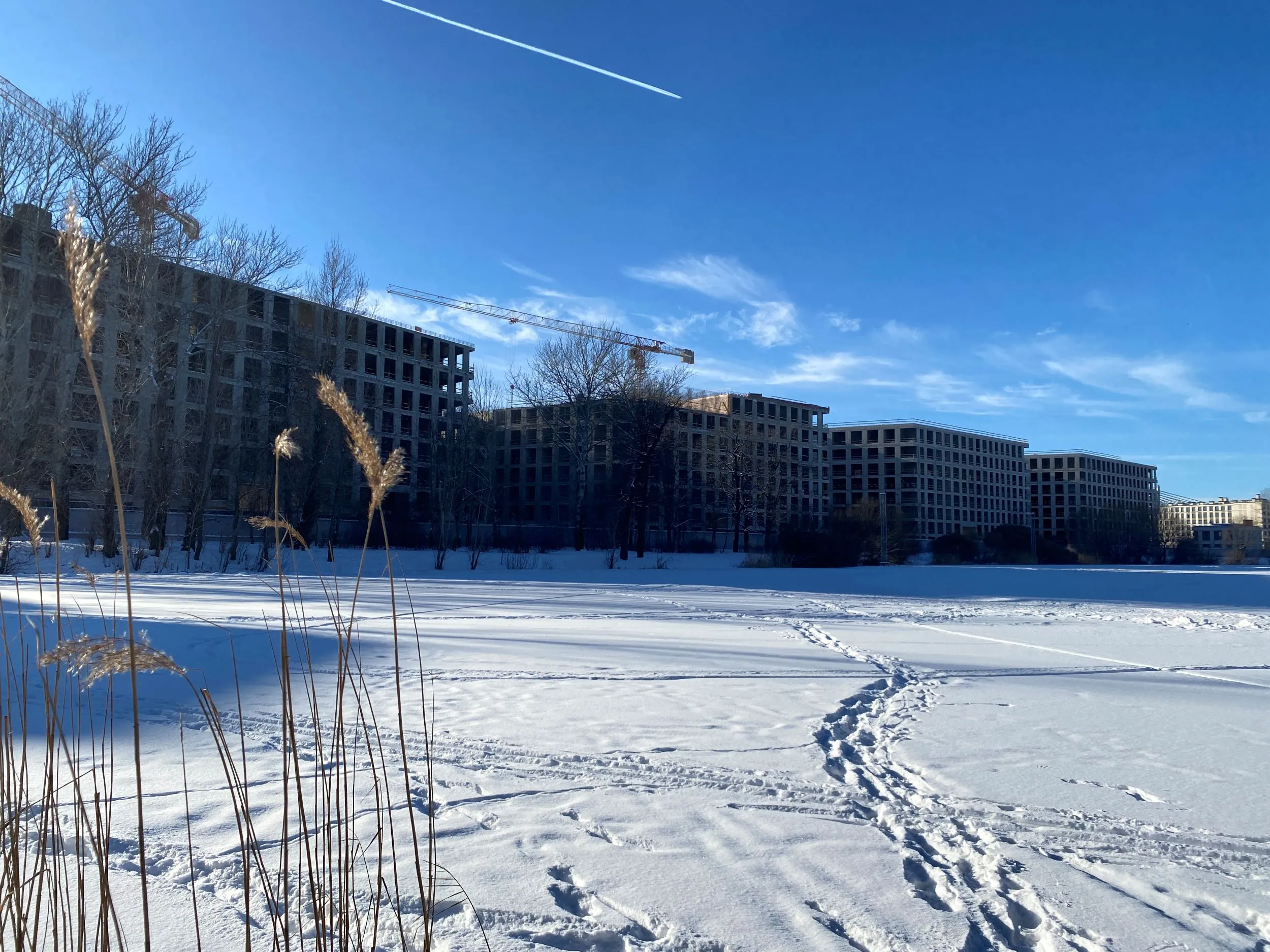 ЖК 17/33 Петровский остров ход строительства